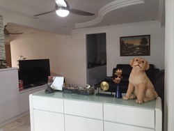 Blk 225 Choa Chu Kang Central (Choa Chu Kang), HDB 5 Rooms #172988862